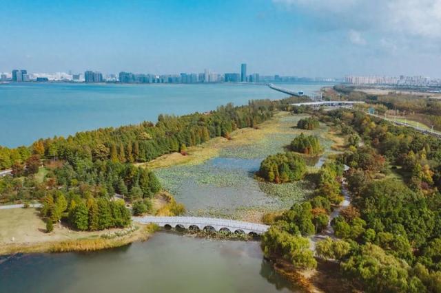 城市出逃计划！到苏州东太湖降降温