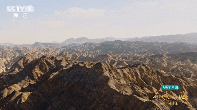 吐鲁番的香甜，从何而来？