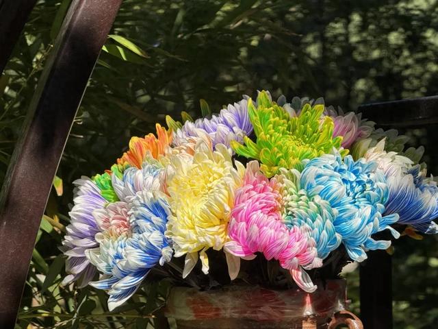 长春市动植物公园上新