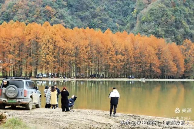 龙池秋色惹人醉