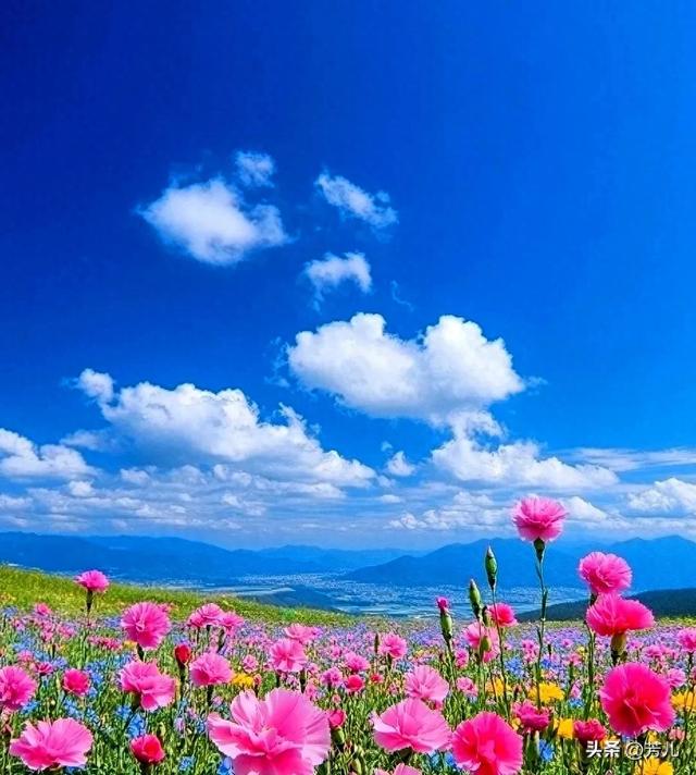 两性关系，女生发“嗯嗯”是什么意思	，男人一定要懂