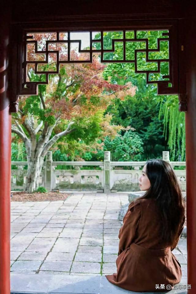 谁懂啊！这些打卡地的秋，连落叶都在教你拍照→