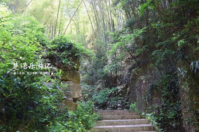 浙江宁波的竹林双古道，被誉为治愈系徒步胜地，景色宜人值得游玩