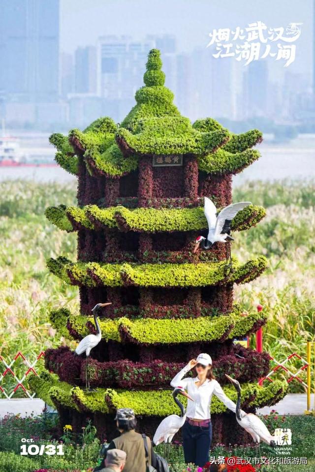 武汉今秋最大花展，限时一个月，免费！