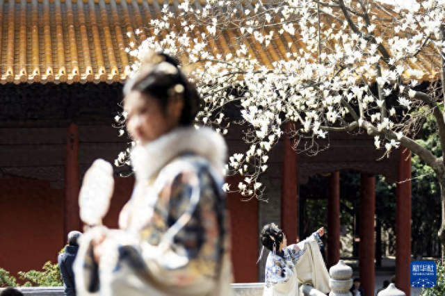 一册繁花 满目春色