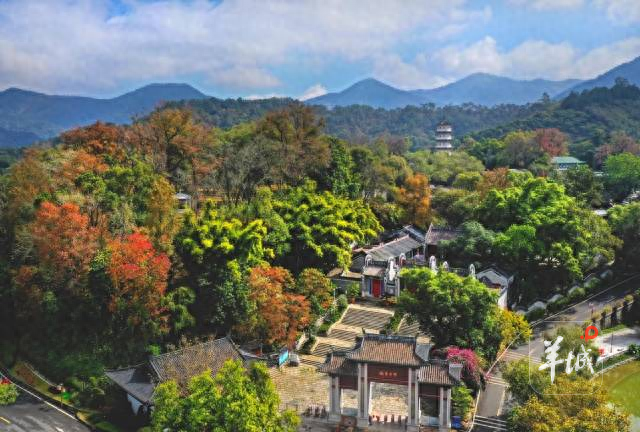 云浮市旅游发展大会召开，着力打造这五条主题旅游线路