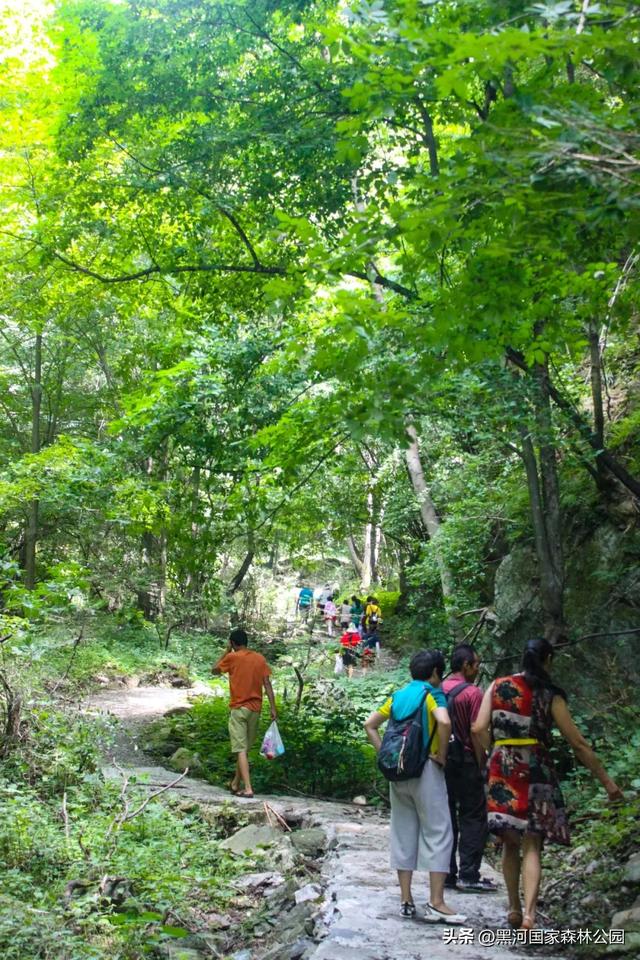转给那个总说“没时间去远方”的朋友：你看，诗与远方，其实就在2小时车程外