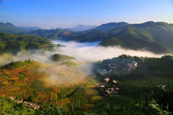 广西那坡县历史沿革及行政区划
