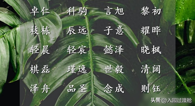 带诗字的女孩名字有哪些（平安快乐的出自诗词的女孩名字集锦）