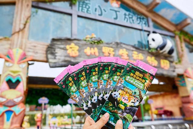 宿州野生动物园，从丛林之王到水上舞者，假日亲子研学游的好去处