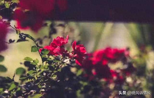 外星人绑架游戏攻略（断联测试火了一招识破身边人）