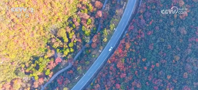 “枫叶+”燃动秋日文旅消费“热引擎” 以旅促农增收再添“金钥匙”