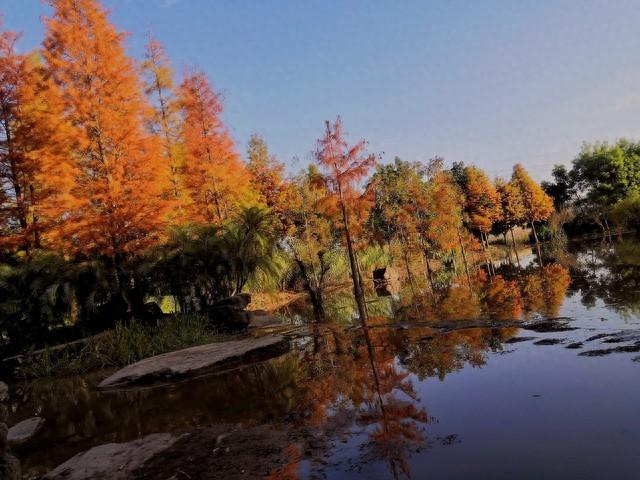 关于人是会变的朋友圈句子有哪些（十年后）