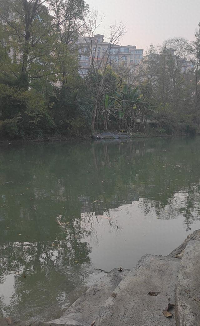 冬日漂流江岸河