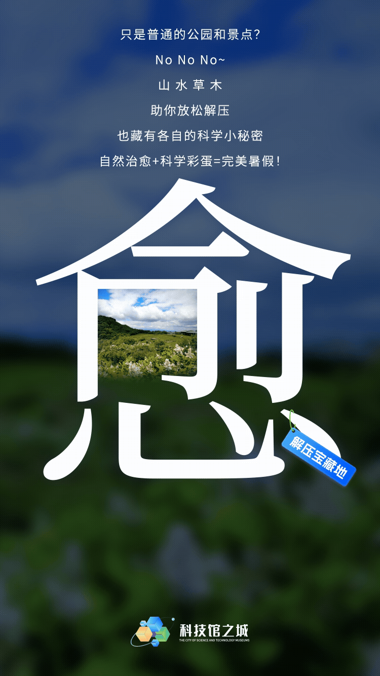 科学暑假 | 在山水草木间发现科学奥秘
