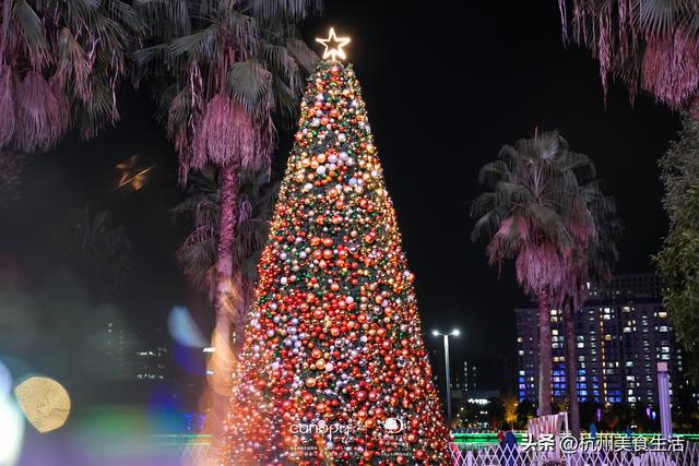 杭州和达希尔顿逸林酒店&金沙湖和达希尔顿嘉悦里酒店圣诞亮灯