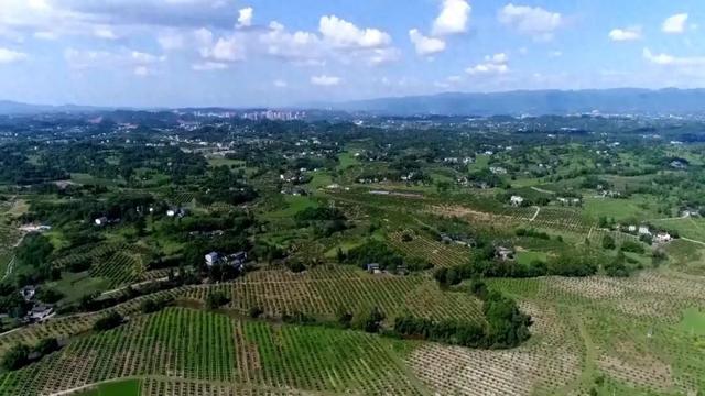 系列报道《福美之地·好客渠县》跟着红色文化游渠县感悟峥嵘岁月