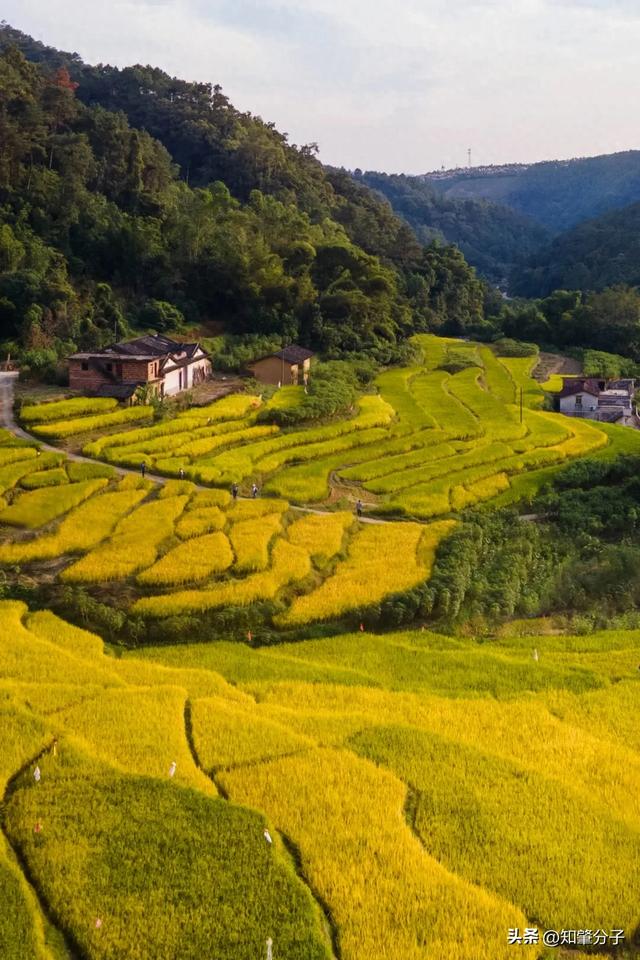 肇庆这里藏着“梯田胜境”,美得不像话!