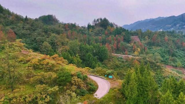 重访开州岳溪善字山:与一座山村的秋日对话,追寻记忆中的乡恋