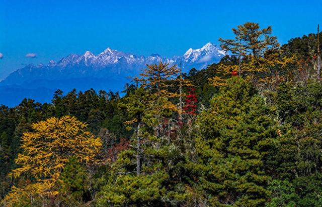 初冬时节 云南丽江老君山九十九龙潭风景如画