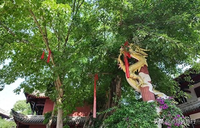 成都最神奇寺庙，寺内藏有县衙，这应该是全国唯一，地铁公交可达