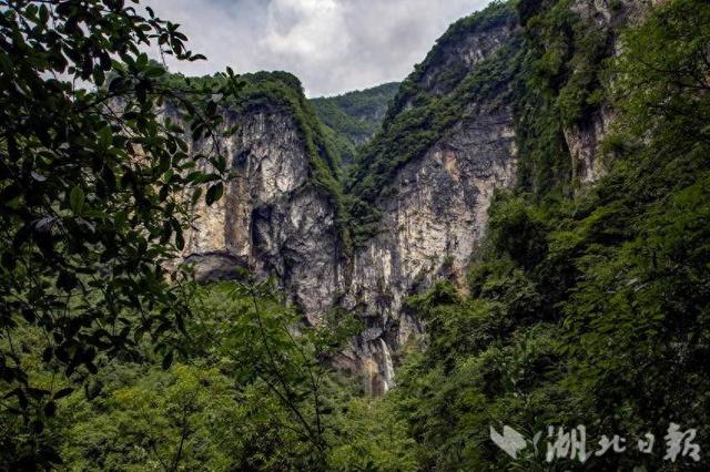 巴东金果坪：饮水水源地绘就生态画卷