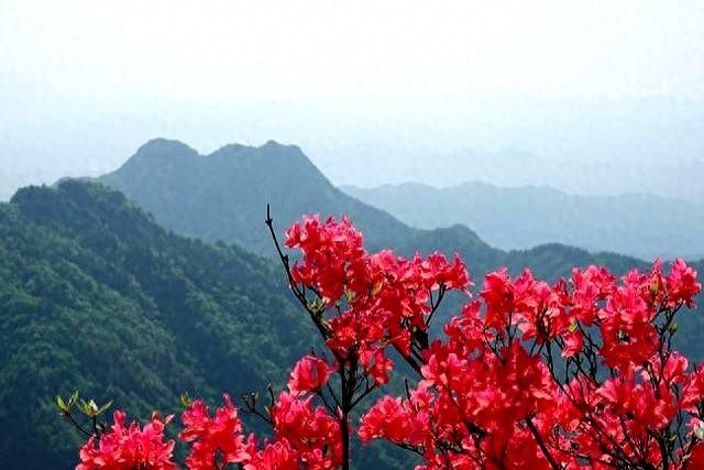 4 种 “长寿运动” 划重点：每天 30 分钟，比吃药更管用