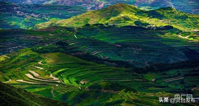 平凉：举城竞进 何以为之？丨生态文明建设，何以为先？