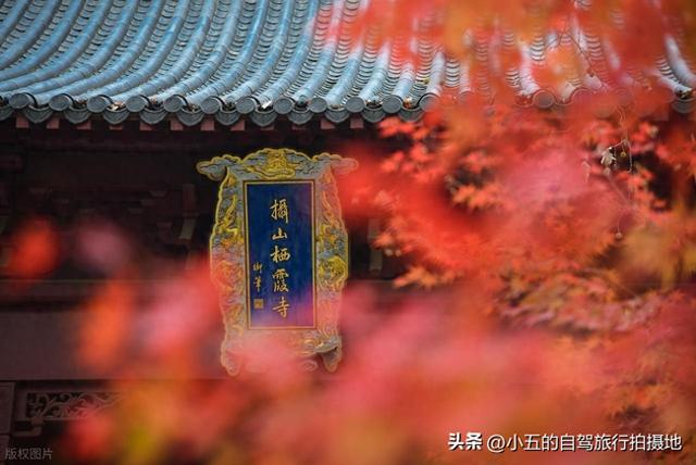 南京栖霞山赏枫实测攻略！四大赏枫地之首，免费入园 + 路线 + 出片
