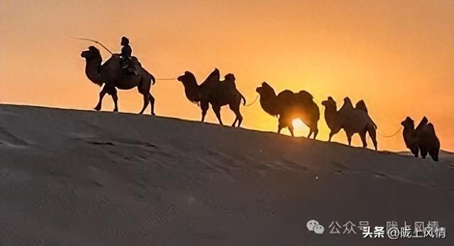 丝路情缘（平安是福）