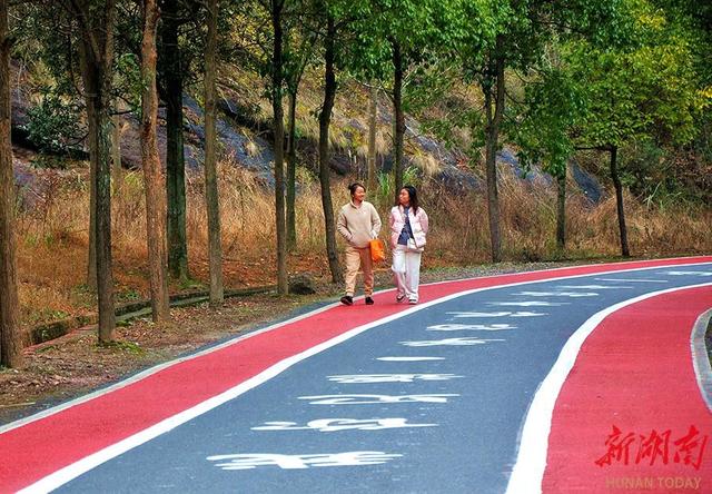 漫步“彩虹”间