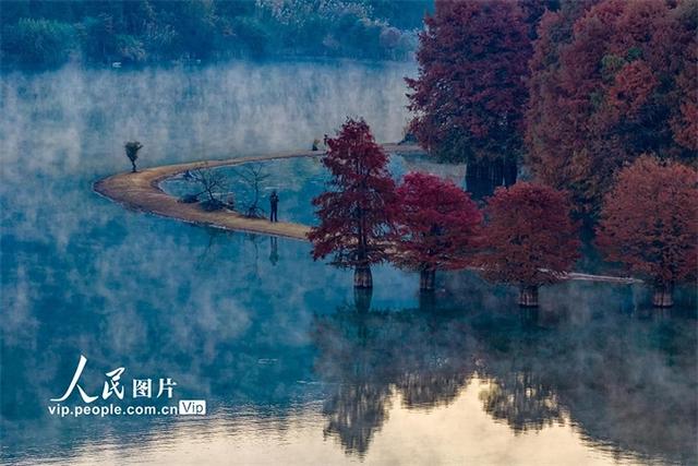 浙江绍兴：层林尽染