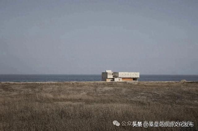 秦皇岛北戴河新区：旅游向好文艺向新 书店集群推进休闲度假产业