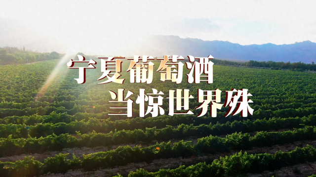“宁夏紫色·中国味道”激活文旅消费新引擎