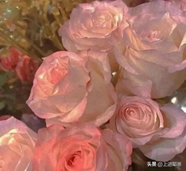 恋爱一周年简短感言（Love Story🧡⁺⁹⁹⁹恋爱纪念日🥳WeChat文案）