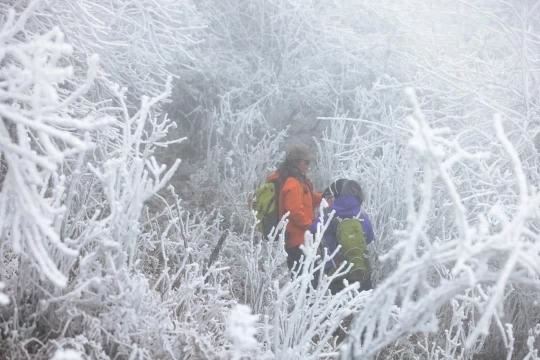 贵定：元龙山雪景醉游人