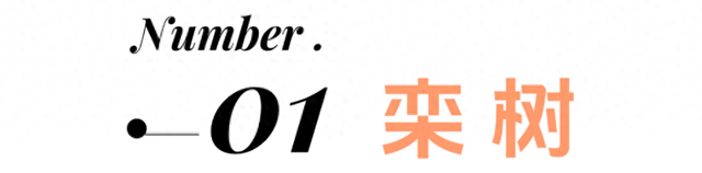 秋日第一波花海！上线！