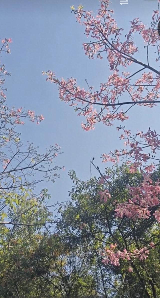 时光太瘦，指缝太宽