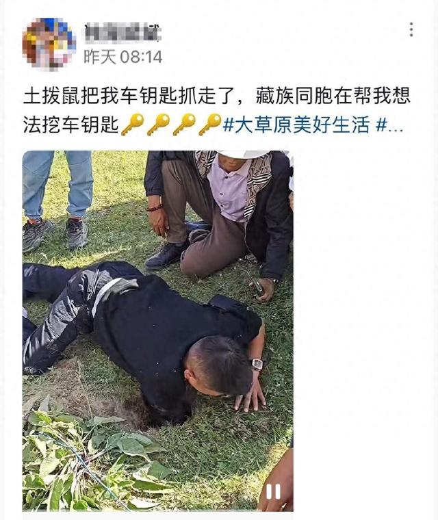 川西土拨鼠“偷走”一游客车钥匙，当地村干部用铁丝勾、磁铁吸，最后挖出来了