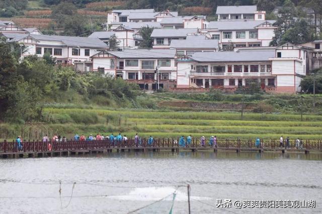 国庆假期去赵官村“充个电”！数百人欢乐徒步行走美丽乡村