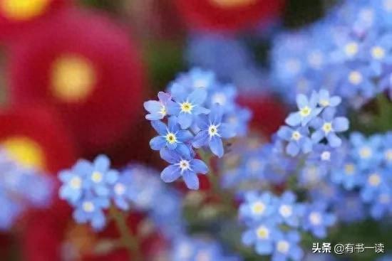 顾城的10篇经典诗（顾城最经典的8首短诗）