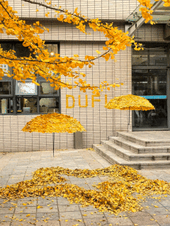 网友不建议推广？来大理，给你“镀层金”