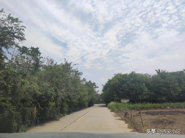 西安一地隐藏着两千多年前的石雕像，是我国现存最早的，你来过吗