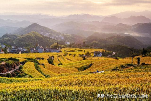 绍兴 11 月赏秋攻略｜6 处绝美秋景地，承包江南的红枫金稻与红柿