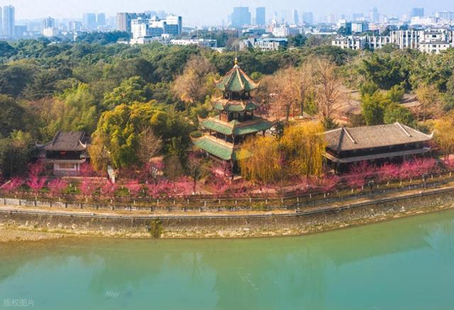 这个春节，望江楼公园“梅梅”出圈