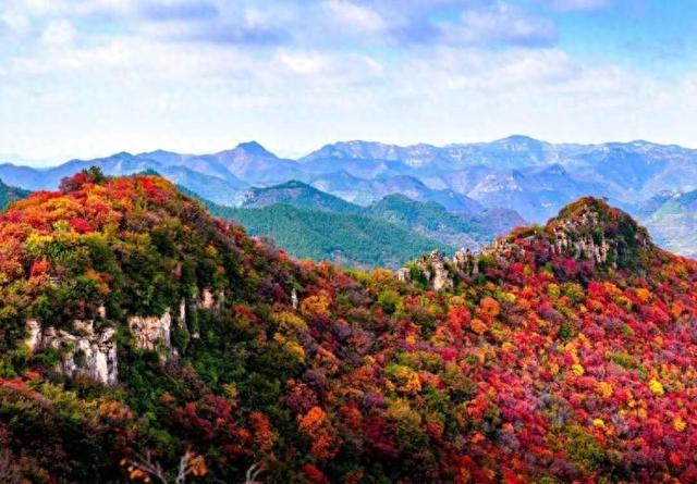 总是会反复爱上潍坊的秋天！