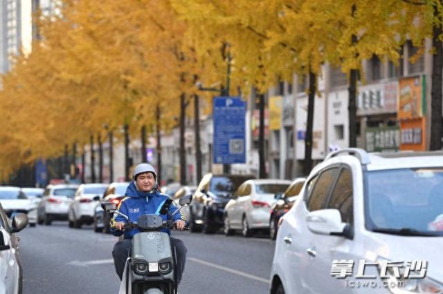 美不胜收！棠坡路披上“黄金甲”｜组图