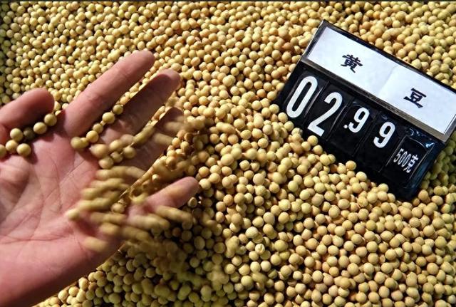 巴西大豆涨价致中国停 180 万吨订单！3 天后巴对华无纺布反倾销，背后藏大豆依赖困局