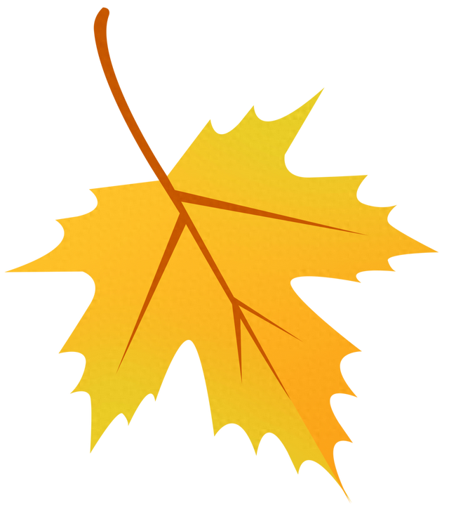 在南通，“公园+”了啥？