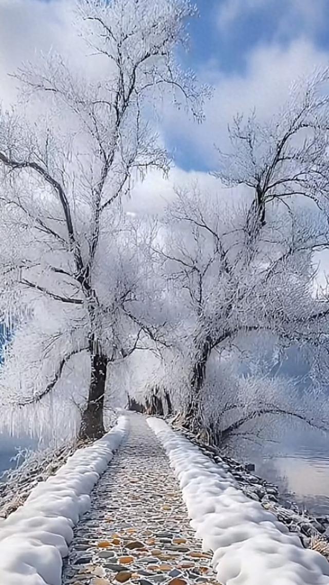 不是想念雪，是想念有你的冬天